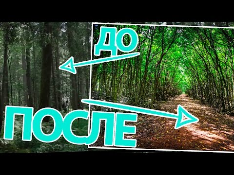 Простейшая обработка фотографий - UCen2uvzEw4pHrAYzDHoenDg