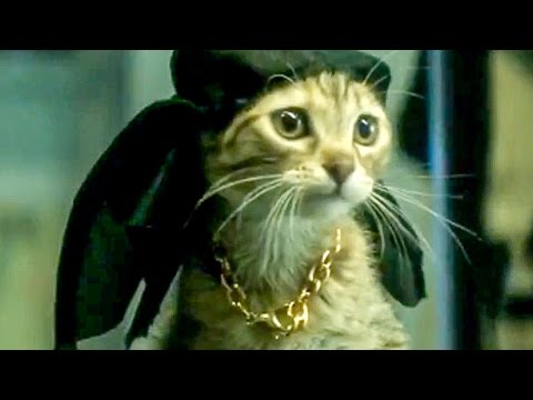 Keanu Red Band Trailer (2016) Jordan Peele, Keegan-Michael Key Comedy Movie - UCA0MDADBWmCFro3SXR5mlSg