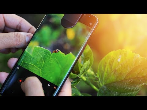 How to Take BETTER SHOTS with your Smartphone - UCXzySgo3V9KysSfELFLMAeA