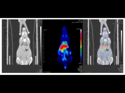 Crave - Prevent a hangover with the worlds first 'sober pill'? Ep 110 - UCOmcA3f_RrH6b9NmcNa4tdg