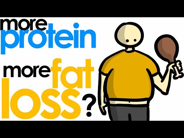 Why Protein is Important for Weight Loss