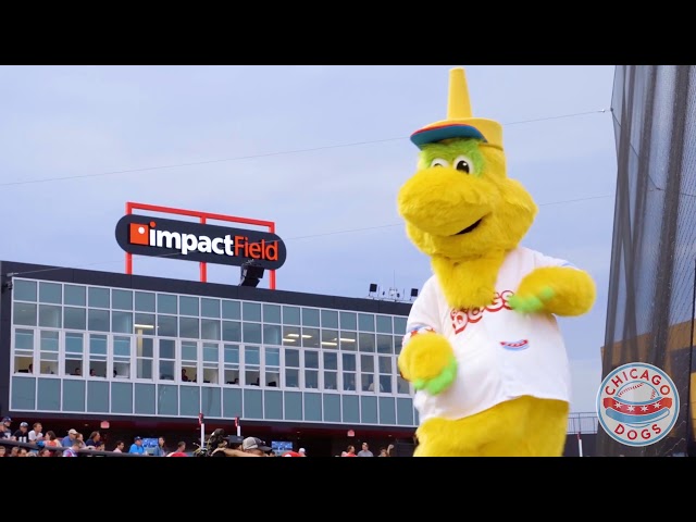 Chicago Dogs Baseball is a Must-See for Any Fan