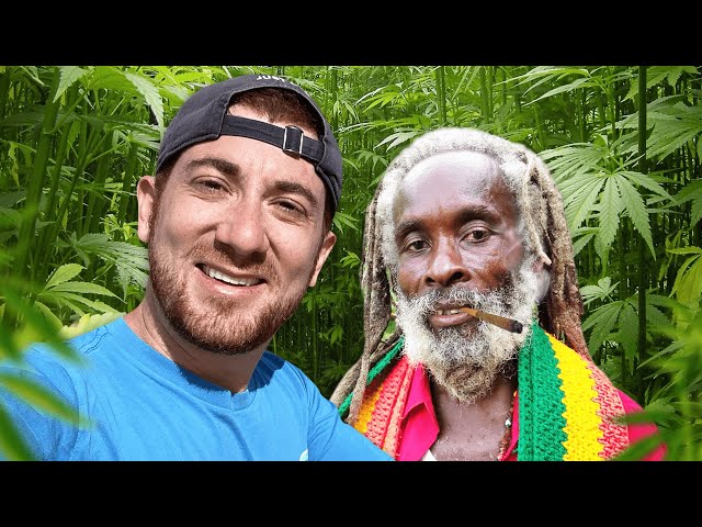 Rastafarian and Reggae Music: What’s the Difference?