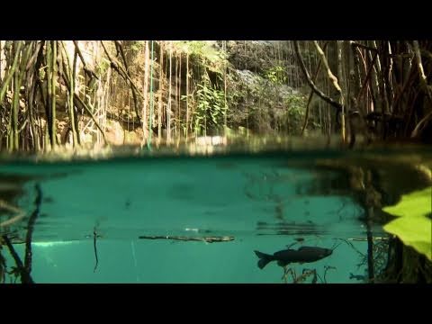 Yucatán jungle dive - Red Bull Cliff Diving World Series 2011 - Mexico - UCblfuW_4rakIf2h6aqANefA