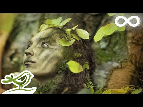 Relaxing Celtic Music: Fantasy Music, Flute Music, Harp Music, Beautiful Music, Relaxing Music ★91 - UCjzHeG1KWoonmf9d5KBvSiw