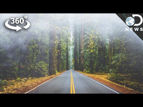 There Are Actually Benefits To San Francisco's Fog (360 Video) - UCzWQYUVCpZqtN93H8RR44Qw