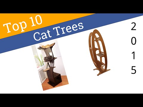 10 Best Cat Trees 2015 - UCXAHpX2xDhmjqtA-ANgsGmw