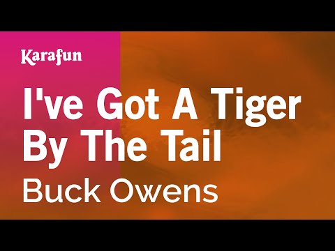 Karaoke I've Got A Tiger By The Tail - Buck Owens * - UCbqcG1rdt9LMwOJN4PyGTKg