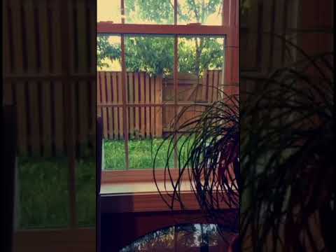 - :  علامات العلاقة الصحية  ( الجزء الثالث و الاخير ) ٣/٣