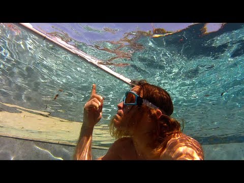 GoPole Reach Floats? GoPro Tip #135 - UCTs-d2DgyuJVRICivxe2Ktg