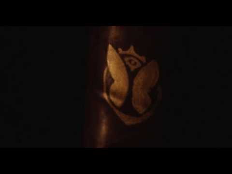 Tomorrowland 2013 Belgium Introduction Teaser - UCsN8M73DMWa8SPp5o_0IAQQ