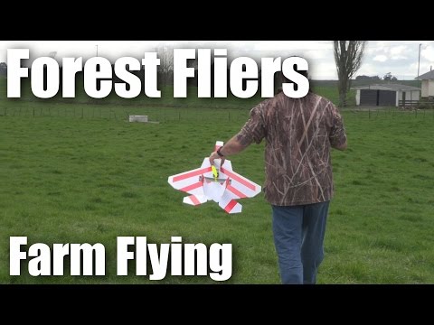 Forest Fliers of RC planes go to the farm - UCQ2sg7vS7JkxKwtZuFZzn-g