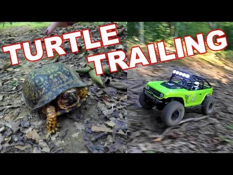 Turtle Trailing with Our Axial SCX10s RC Crawlers - TheRcSaylors - UCYWhRC3xtD_acDIZdr53huA