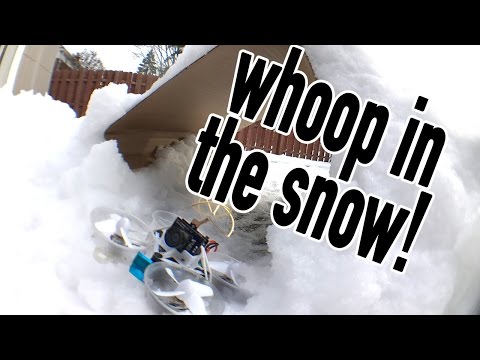 Whoop in the SNOW!! - UCHxiKnzTyzE9Qez8ZGpQbPQ