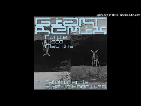 Calvin Harris & Rag_n_Bone Man__Giant_ (Purple Disco Machine Remix)