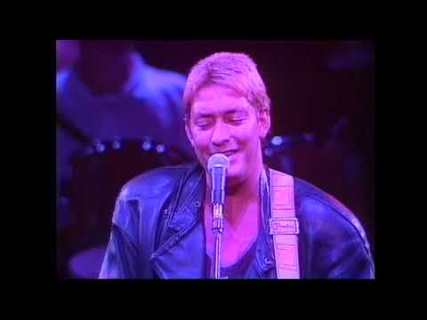 Chris Rea - Live in Japan (1987) #chrisrea #drivinghomeforchristmas #onthebeach
