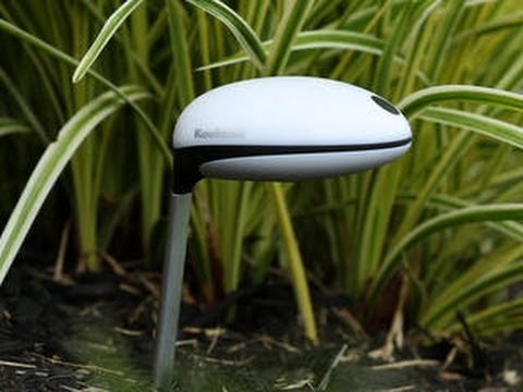 The Koubachi Wi-Fi Plant Sensor connects your garden for a premium price - UCOmcA3f_RrH6b9NmcNa4tdg