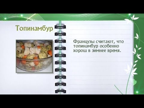 Кулинарная энциклопедия - опинамбур - UC7XBjhXnmmXFsxmnys9PmDQ