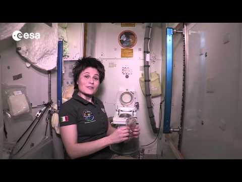 International Space Station toilet tour - UCIBaDdAbGlFDeS33shmlD0A