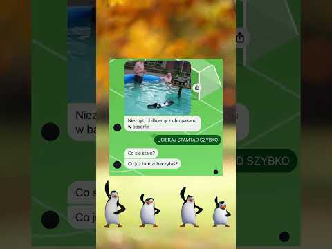 Nie róbcie tego w domu (ani w basenie) 💦 #shorts #memes #memy #chat