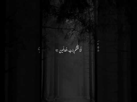 ❤️ #اشتراك #اكسبلور #لايك #قرآن 🌹