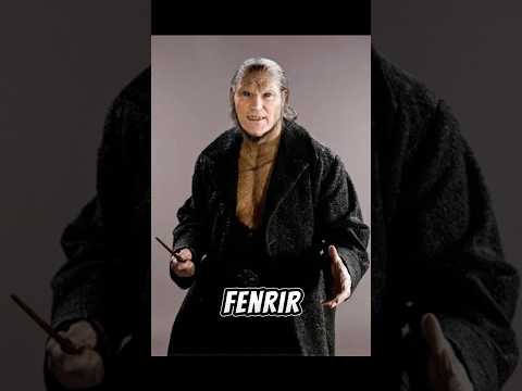 HARRY POTTER Book Fact That Were NEVER MENTIONED IN MOVIES😱 #harrypotter #facts #subscribe