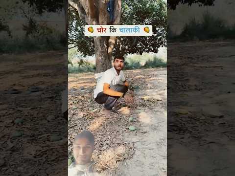 आम का खतरनाक चोर 😂😂 |Shyam UP 62 Comedy #comedy #comedyfilms