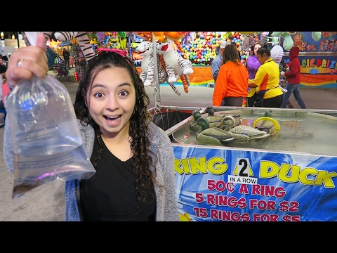 Florida State Fair Carnival Games! - UCYBSaV5kXMCSlj0S4cnIThA