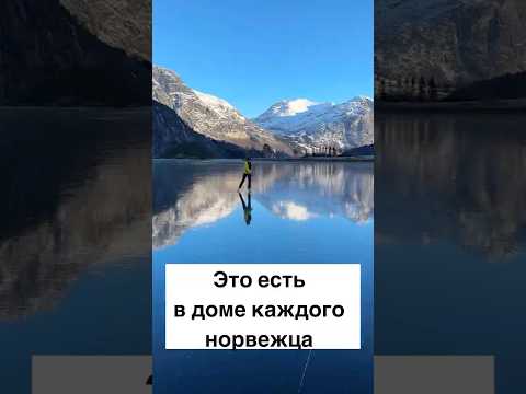 Это есть в доме каждого норвежца #норвегия