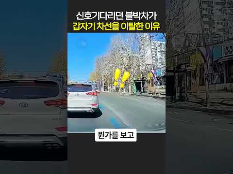 신호기다리던 블박차가 갑자기 차선을 이탈한 이유