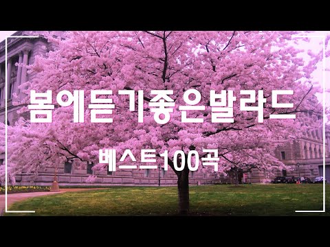 🌸 봄에는 무조건 달달한 노래가 최고 | 광고없는 봄 노래 모음 [playlist]