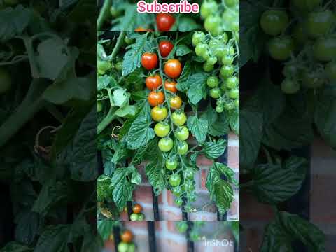 flawless things part 4|#short #perfect #fyp