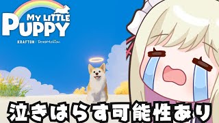 【 MYLITTLEPUPPY 】　絶対泣ける?!　天国で飼い主さんを探すゲーム！　【 #vtuber  / 春霞みぃな　#みぃlive 】