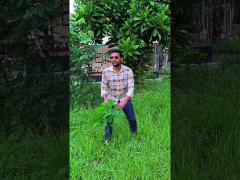 Wait for Twist 😅 || MeZzo Funny || #shorts #funny #funnyshorts