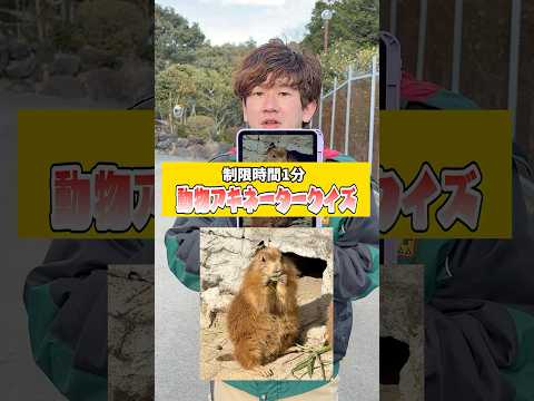 犬の動画サムネイル - 動物アキネータークイズ！白井飼育員が挑戦！#アキネーター #飼育員　#shorts #動物園