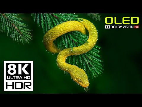 Amazing Costa Rica in ULTRA HD Dolby Vision 8K HDR 60 FPS (8K Video)