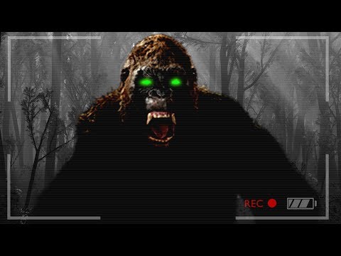 FINDING BIGFOOT & MISSING PEOPLE!! (Finding Bigfoot Game) - UC2wKfjlioOCLP4xQMOWNcgg