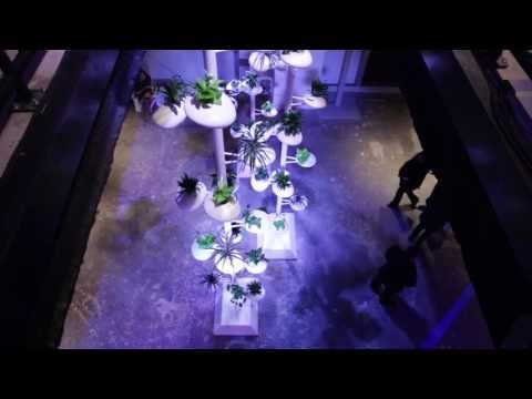 Vertical Garden Installation for BMW i Born Electric Tour, NYC