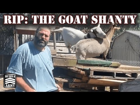 Bubba Gives Play By Play Of Lummy Taking Down The Goat Shanty - #TheBubbaArmy