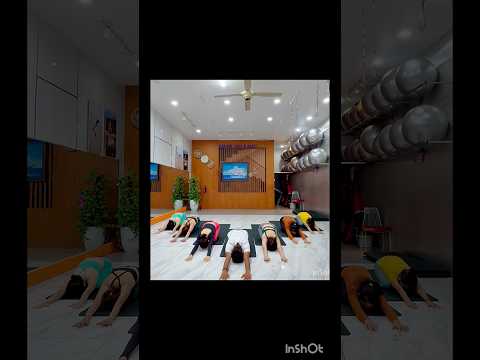 Việc của thân là dẻo,việc của tâm là tin.Khi có niềm tin – mọi giới hạn đều mở rộng. 🌿