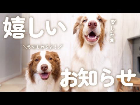 【ご報告】皆様に嬉しいお知らせがあります！！🐾