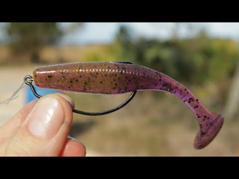 This color changing lure caught a STUD redfish while wading!!!! video thumbnail