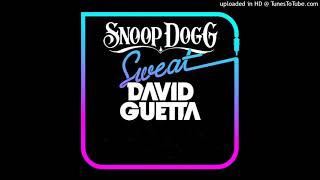 Snoop Dogg vs David Guetta - 'Sweat' (Piratte Future Rave Bootleg)