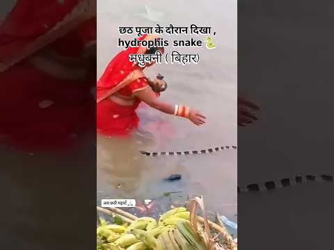 जय छठी मइयाँ 🙏🏻#chhathpujasong #chhathpuja