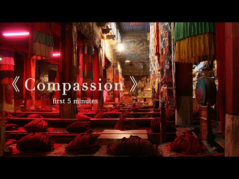 佐村河内守(作曲・制作)《 Compassion 》first 5 minutes【MUSIC VIDEO】