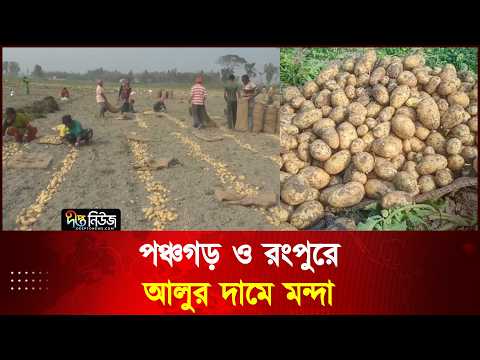 পঞ্চগড় ও রংপুরে আলুর দামে মন্দা l Potato l Price l Deepto News
