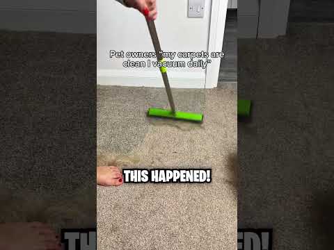 This Girl Hasn’t Cleaned Her House In Years! 😱