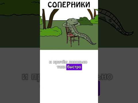 Соперники анаконды #животные #академияброкколи #анаконда