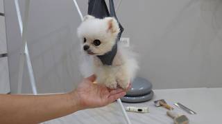 動画サムネイル