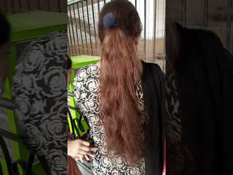 #viral  #remix #tiger #anime #zoo #shortvideo #edm #dj #music